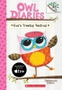 Owl Diaries Book 1: Eva's Treetop Festival cover image