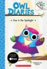 Owl Diaries Book 13: Eva in the Spotlight cover image