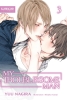 My Beautiful Man (light novel) Vol. 3: My Troublesome Man cover image