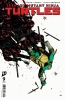 TEENAGE MUTANT NINJA TURTLES #9 cover image