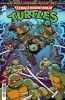 TEENAGE MUTANT NINJA TURTLES SATURDAY MORNING ADVENTURES #24 VAR B NEO CVR B cover image