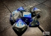 Chessex Polyhedral 7-Die Set: Gemini - Blue-Steel/White cover image