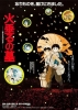 Grave of the Fireflies 24x36 Movie Poster cover image