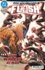 FLASH #22 cover image