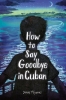 How to Say Goodbye in Cuban (SC) cover image