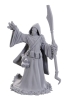 Dungeons & Dragons: Nolzur's Marvelous Miniatures—Wave 25: Star Spawn Larva Mage cover image