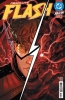 ABSOLUTE FLASH #10 cover image