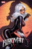 BLACK CAT #6 CVR C DAVID NAKAYAMA cover image