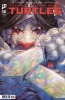 TEENAGE MUTANT NINJA TURTLES #14 cover image