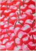 Christina Hu Risograph 11x14: Cherry Cherries cover image