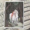 Stupid Animal Shop Art Print 5x7: Deep in the Forest We Encountered the Ghosts of Stars cover image