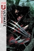 ULTIMATE WOLVERINE #15 cover image