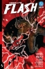 Absolute Flash Vol. 2: Still Point (HC) cover image
