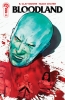 BLOODLAND #4 cover image