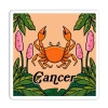 Girls Printing House Sticker: Zodiac Sign — Cancer cover image