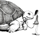 Stupid Animal Shop Art Print 5x7: Tortoise Walk cover image