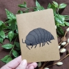 Salt Birch Notebook: Pillbug cover image