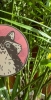 Comfhaus Sticker: Raccoon cover image