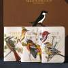 Field Notes: Memo Book — Birds and Trees of North America: Series B — Pine Grosbeak / Baltimore Oriole / Sulphurbelly Flycatcher (3-Pack) cover image