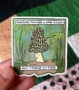 Shapelessflame Sticker: Morel Mushroom Man cover image