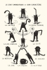 Le Chat Domestique poster (24x36) cover image