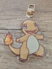 Sadsquatch Keychain: Pokemon — Charmander cover image