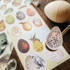 STICKII Sticker Sheet: Dragon Eggs cover image