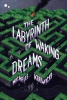 The Labyrinth of Waking Dreams cover image