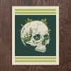 Logan Schmitt Art Print 8x10: Mushroom Skull cover image