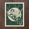 Logan Schmitt Art Print 8x10: Raccoon cover image