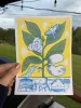 Altargokart Risograph 5x7: Paw Paw cover image
