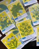 Altargokart Risograph Plant Trading Cards cover image