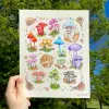 Allison Stoiser Art Print 8x10: Rainbow Mushrooms and Snails cover image