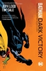Batman: Dark Victory (SC) cover image
