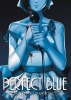 PERFECT BLUE COMPLETE METAMORPHOSIS NOVEL cover image