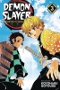 Demon Slayer: Kimetsu no Yaiba Vol. 3 cover image