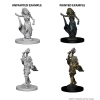 Dungeons & Dragons: Nolzur's Marvelous Miniatures - Medusas cover image