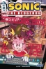 SONIC THE HEDGEHOG #22 CVR A JAMPOLE cover image