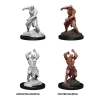 Dungeons & Dragons: Nolzur's Marvelous Miniatures - Flesh Golem cover image