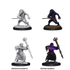 Dungeons & Dragons: Nolzur's Marvelous Miniatures - Kenku Adventurers cover image