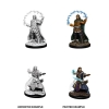 Dungeons & Dragons: Nolzur's Marvelous Miniatures—Wave 11: Human Wizard (Male) cover image