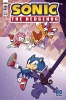 SONIC THE HEDGEHOG #39 CVR A ABBY BULMER cover image