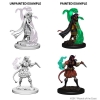 Dungeons & Dragons: Nolzur's Marvelous Miniatures - Tiefling Sorcerer (Female) cover image